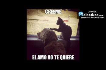 Creeme, el amo no te quiere