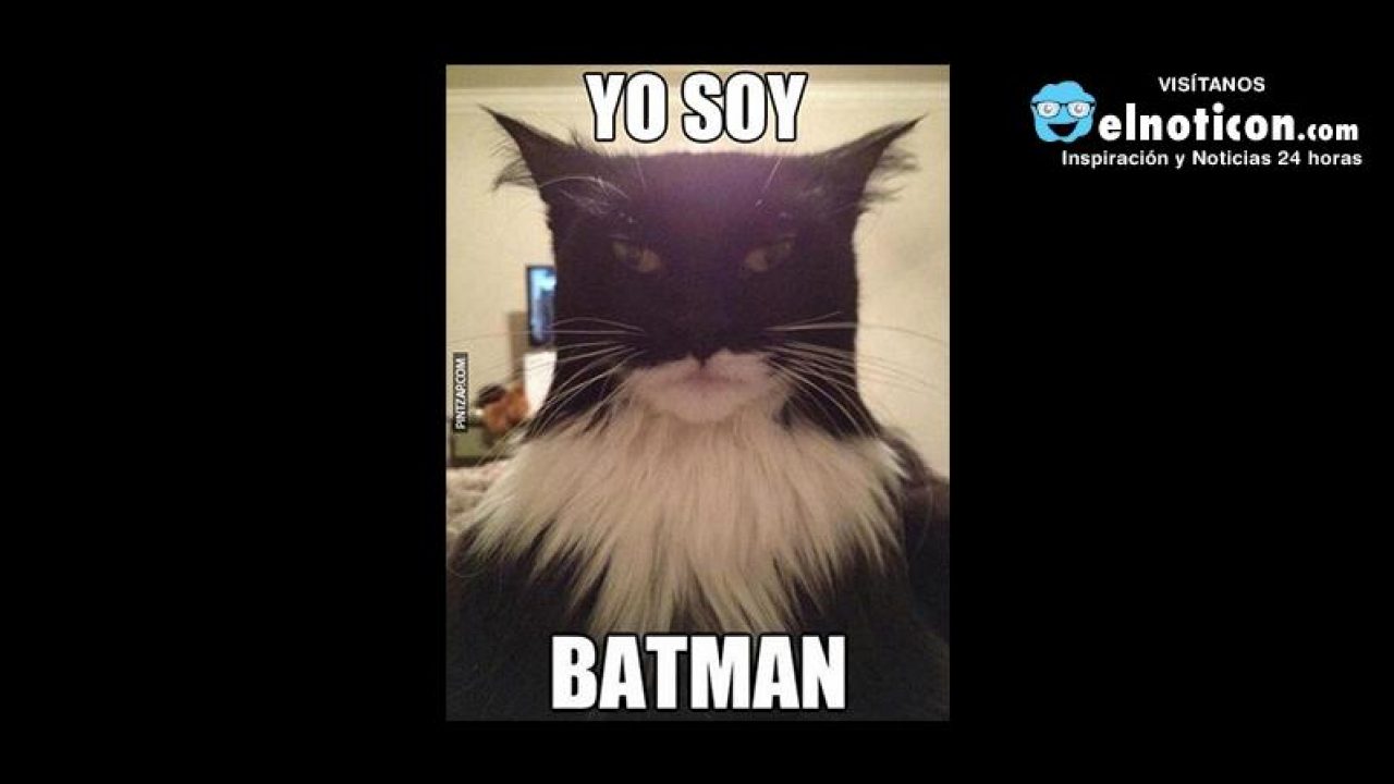 Yo soy Batman 