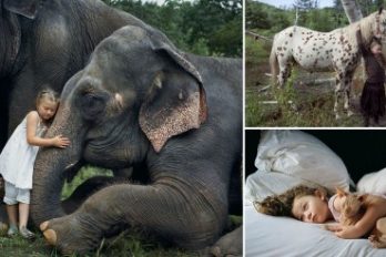 Una fotógrafa que captura los más alucinantes momentos de su hija en compañía de animales