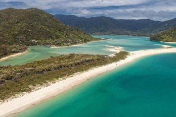 La playa de Nueva Zelanda que compraron los ciudadanos para que nunca más sea de propiedad privada