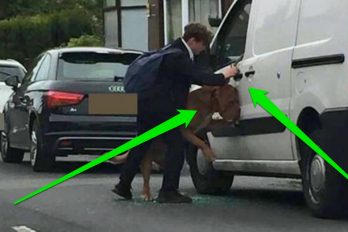 Este jovencito salvó la vida de un perro que colgaba por la ventana de un auto ¡ADMIRABLE!