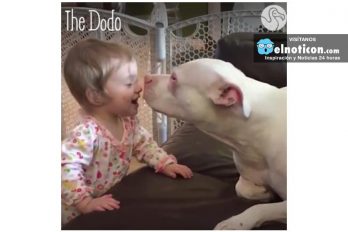 Esta pequeña niña sorda usa sus manos para hablar con su perro