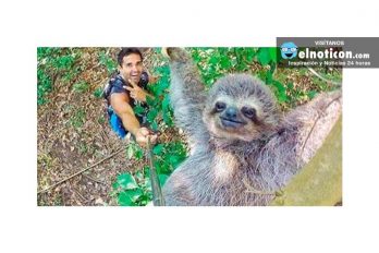 Una en un millón: esta ‘selfie’ no sería nada sin un oso perezoso fotogénico