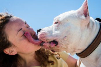 Kissing Your Dog Isn’t Just Gross, It Can Potentially Make You Very Sick