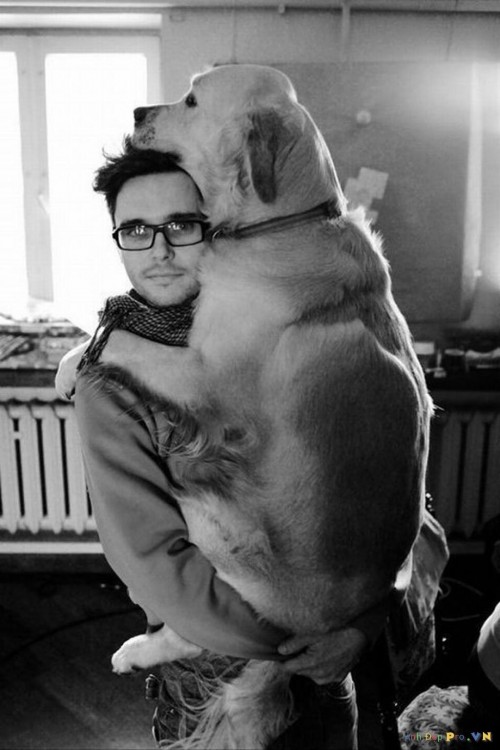 perro-abrazando-blancoynebro