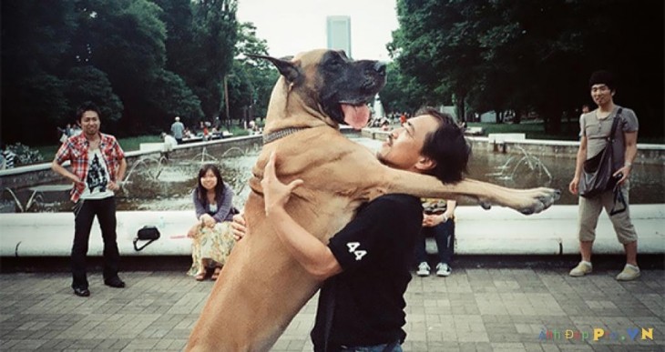 perro-abrazando-hombre-grande