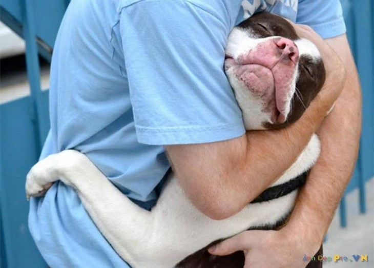 perro-abrazando-hombre