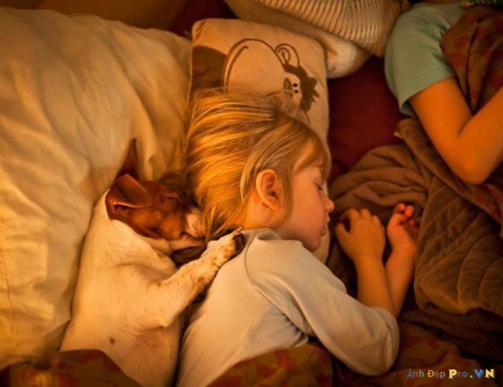 perro-durmiendo-con-niña