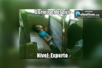 Dormir en el bus: Nivel experto