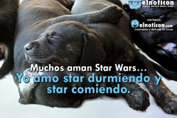 Muchos aman Star Wars…