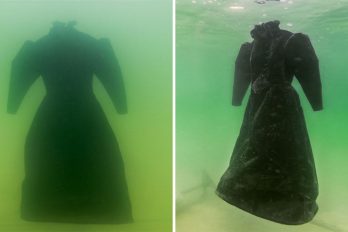 Sumergió un vestido al Mar Muerto por 2 años. Cuando lo sacó se convirtió en una obra maestra de sal