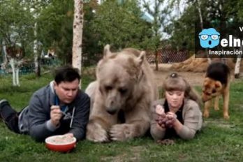 Una pareja rusa tiene como mascota un oso pardo ¿Debería estar en su habitad natural?