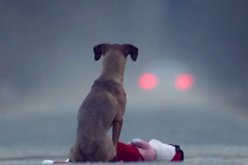 "El regalo" — Un video que hará que se te arrugue el corazón