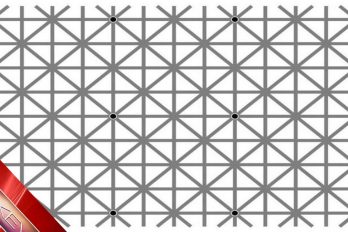 Estas 15 ilusiones ópticas están para perder la cabeza ¡Sorprendente!