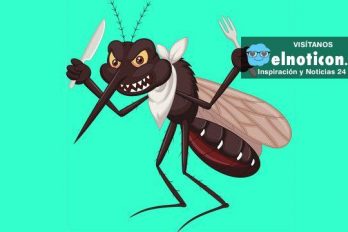 5 razones por las que te pican los mosquitos más que a los otros ¡INQUIETANTE!