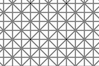 La ilusión óptica de los puntos negros que está causando furor en internet