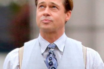 Brad Pitt se retira del mundanal ruido