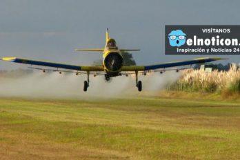 Gobierno rechaza propuesta de reactivar fumigación con glifosato en cultivos ilícitos
