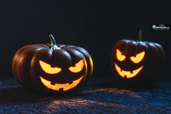 Estas son las 5 ideas más curiosas para que decores en Halloween
