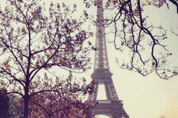 ¿Te gusta la Torre Eiffel? Conoce 10 datos sobre este icono de la arquitectura mundial