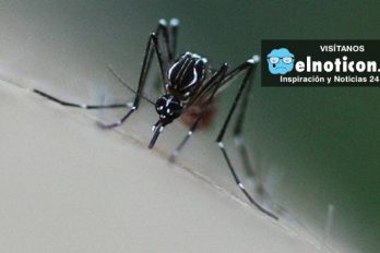 Tome precauciones si va a viajar a Florida, los casos del Zika siguen en aumento