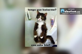 ¿Tengo que bañarme?