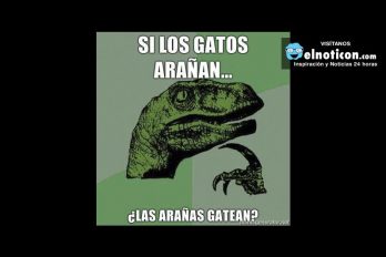 Si los gatos arañan…