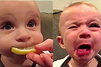 Los bebés no solo son tiernos, también pueden ser muy divertidos ¡Este video te hará llorar de risa!