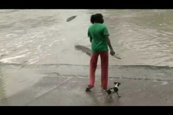 Mira como esta mujer espanta a un cocodrilo con una chancleta. Ahora entiendo a las mamás ¡Las chancletas tienen poder!