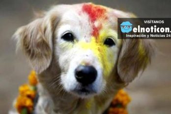Nepal celebra la fiesta que les agradece a los perros su lealtad y amistad
