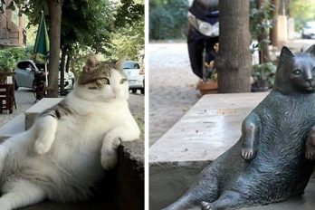 Hablemos del relajado y famoso gato inmortalizado con su propia estatua en su lugar favorito
