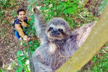 Las 20 Selfies más fabulosas de este año