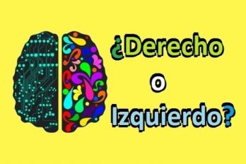 ¿Cuál es tu hemisferio cerebral predominante? Responde este test y lo descubrirás