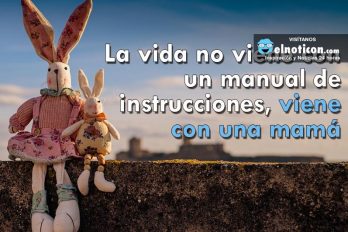 La vida no viene con un manual de instrucciones, viene con una mamá