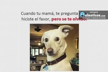 Cuando tu mamá te pregunta si le hiciste el favor