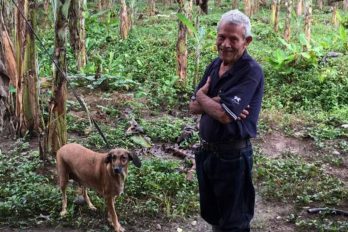 La conmovedora historia del viejito en Costa Rica que se negó a abandonar a sus perros a merced del huracán Otto