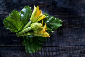 flor de zucchini