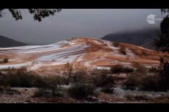 ¿Nieve en el desierto del Sahara? Así lo registró el fotógrafo Karim Bouchetata en Ain Sefra. ¡No caía un copo de nieve desde hace 37 años!