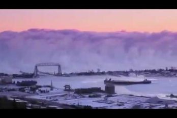 ¡Qué susto! Impresionante ‘muro’ de niebla golpea Minnesota. ¡Como en las películas de terror!