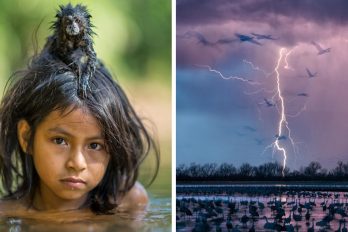 26 fotografías seleccionadas por National Geographic como las mejores de este 2016