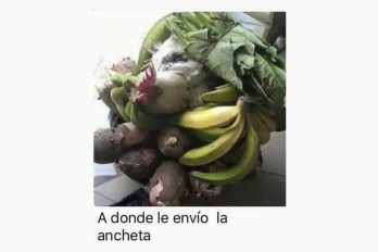 A dónde le envío la ancheta…