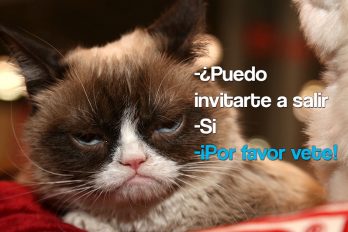 ¿Puedo invitarte a salir…