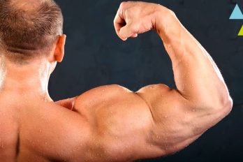 Lo que no sabías de los músculos ¡y deberías!