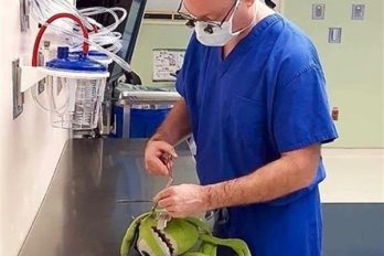 La tierna foto un cirujano que “opera” a un muñeco de peluche después de intervenir a un niño
