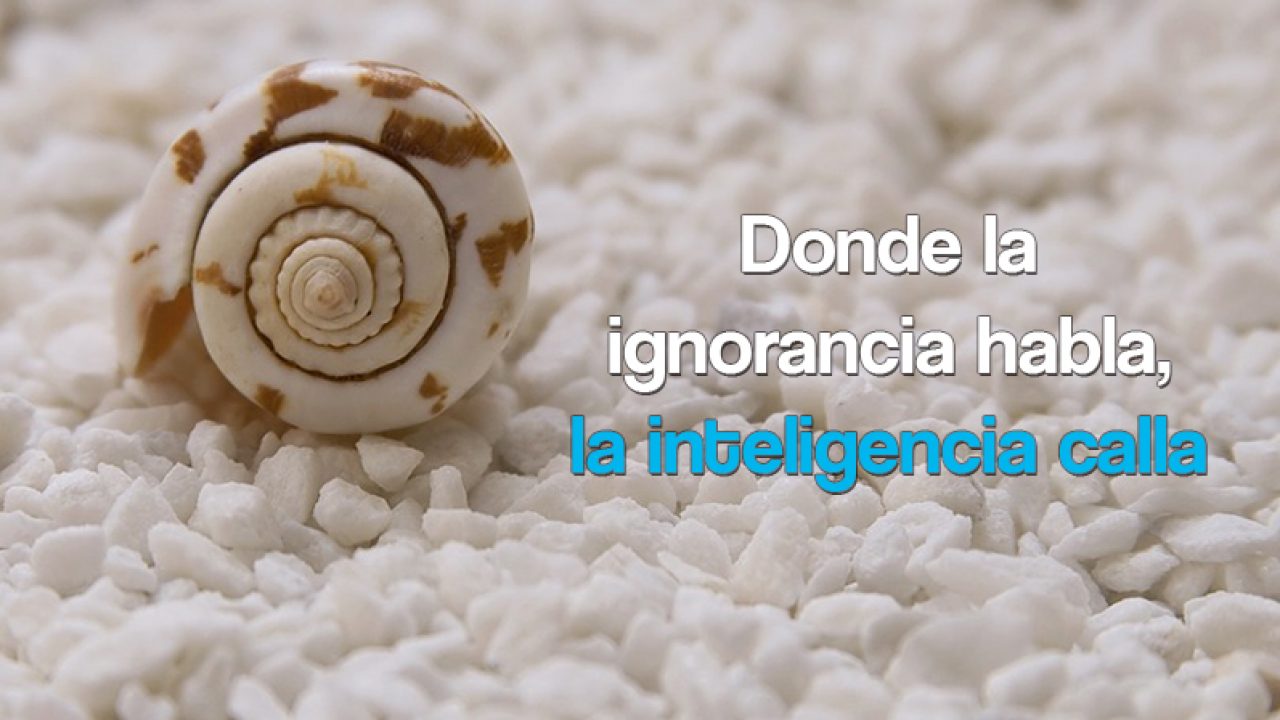 Donde la ignorancia habla, la inteligencia calla 