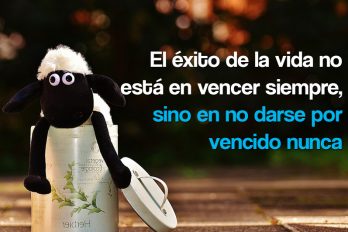 El éxito de la vida no está en vencer siempre, sino en no darse por vencido nunca