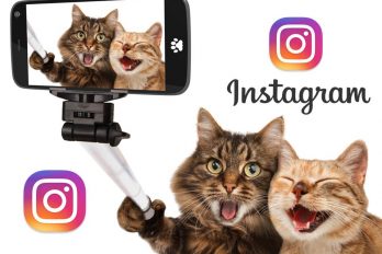 En Instagram ya puedes crear álbumes de fotos y videos