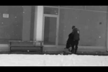 ¡Qué bondad! Este hombre alimentó y le regaló su chaqueta a un perro callejero en plena nevada. ¡Ser humano en estado puro!