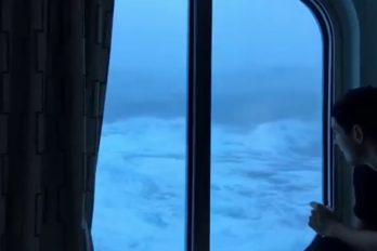 ¡La leyenda de ‘Poseidón’ se hace real! Un crucero es impactado por tremendas olas de 10 metros. ¡Qué susto!