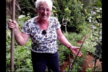 ¡Pilladas! El video de las abuelas gallegas y la marihuana. ¡Para morirse de la risa!
